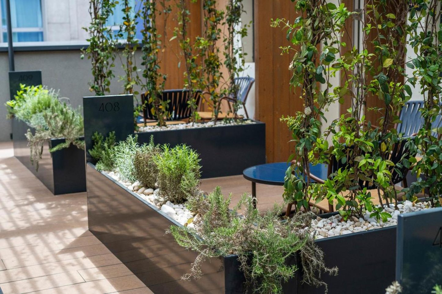 Paxton Barcelona by null