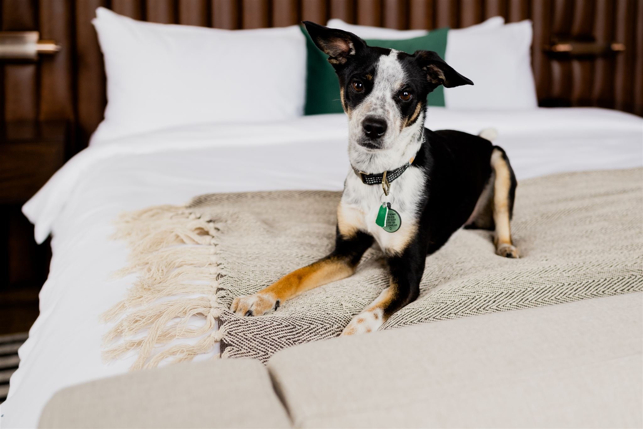 Surety Hotel, Autograph Collection by null