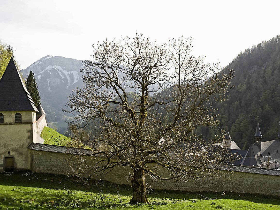 Park Hôtel Grenoble - MGallery by null