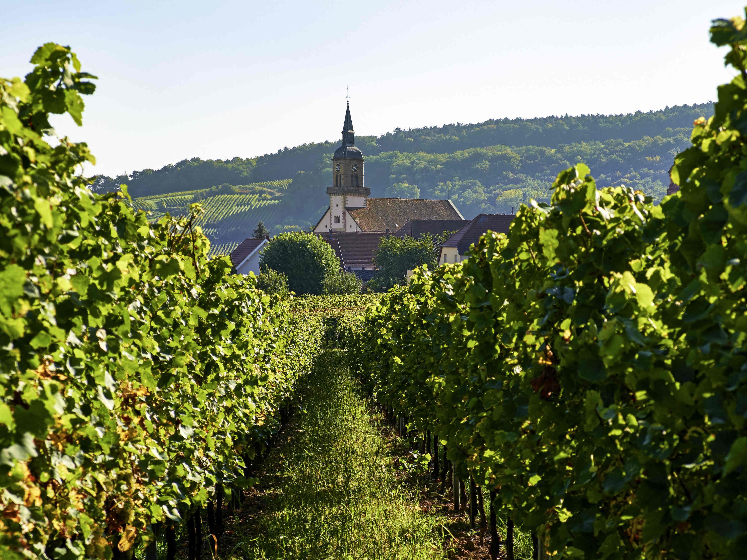 5 Terres Hôtel & Spa - MGallery Collection by null