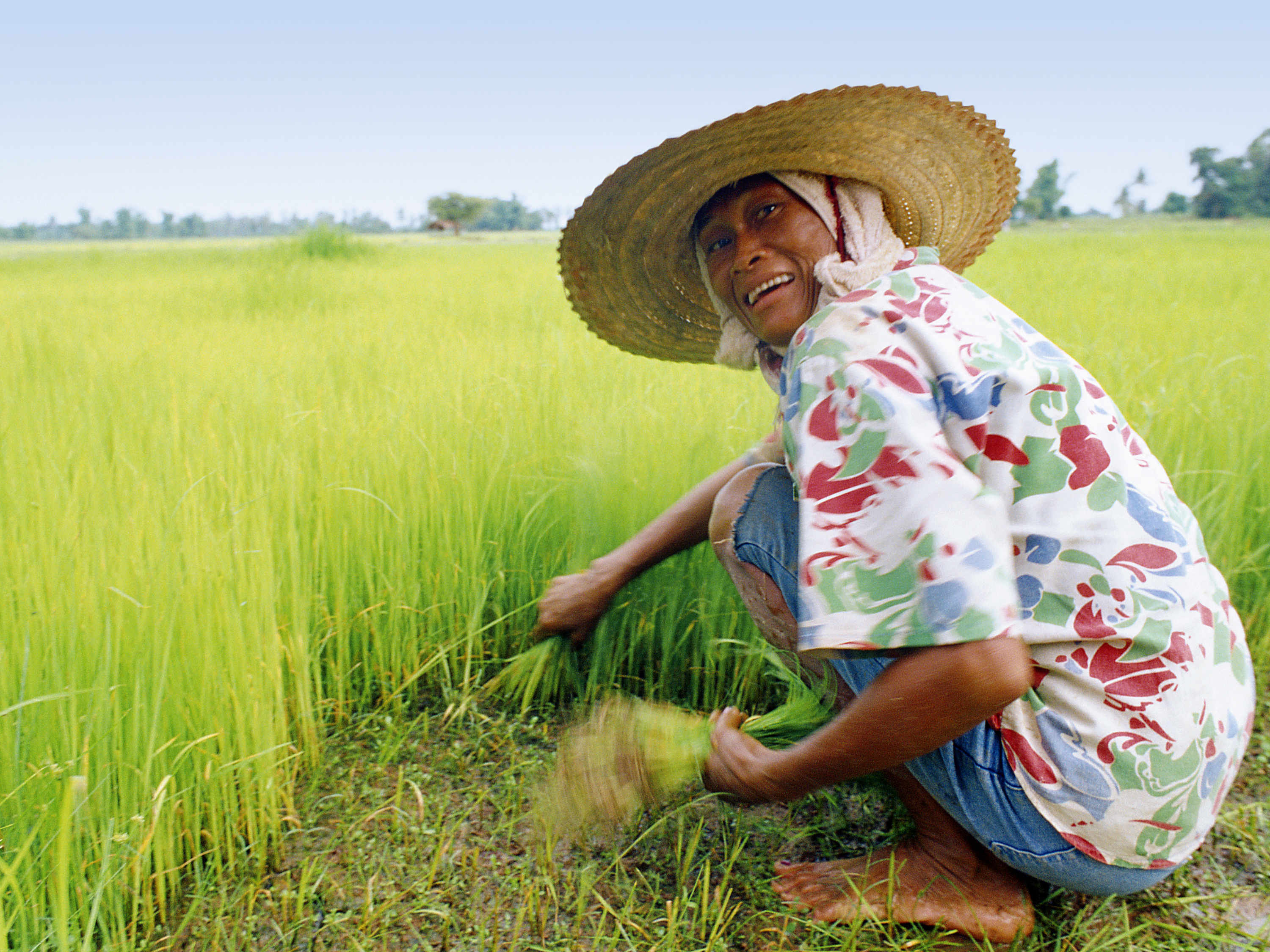 Veranda High Resort Chiang Mai - MGallery Collection by null