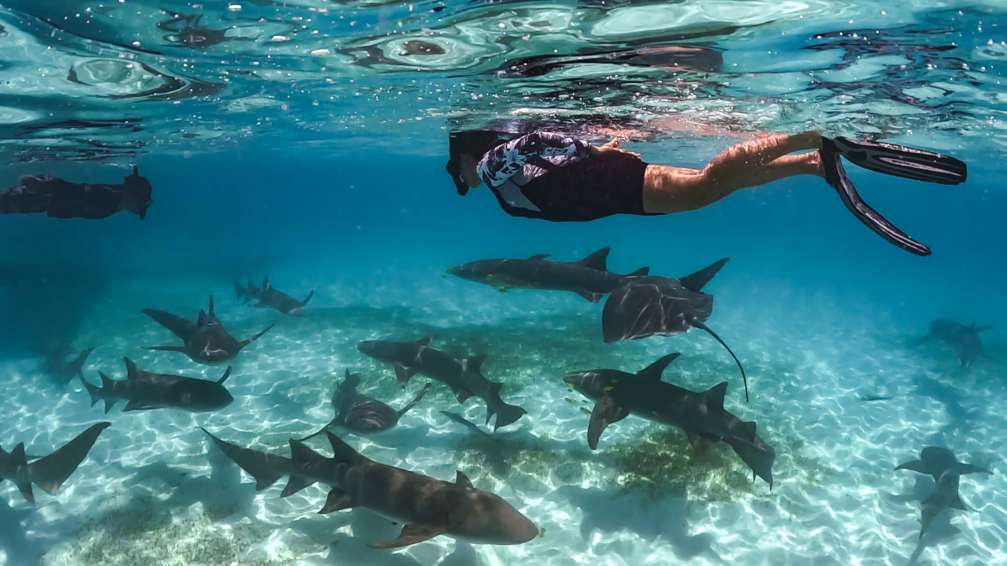 Six Senses Kanuhura by null