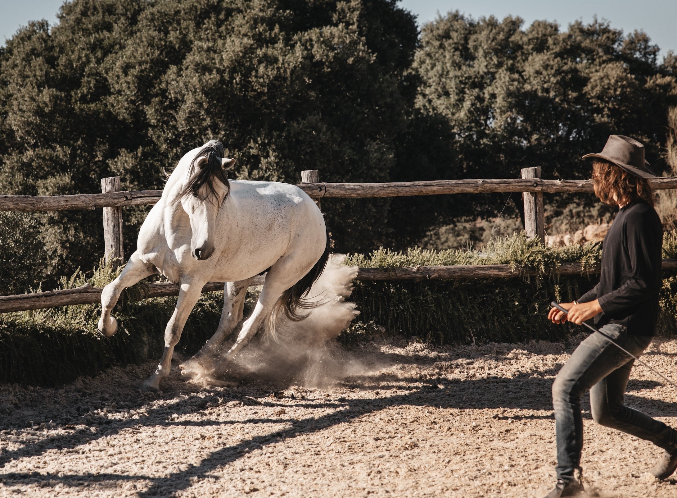 Finca La Donaira by null