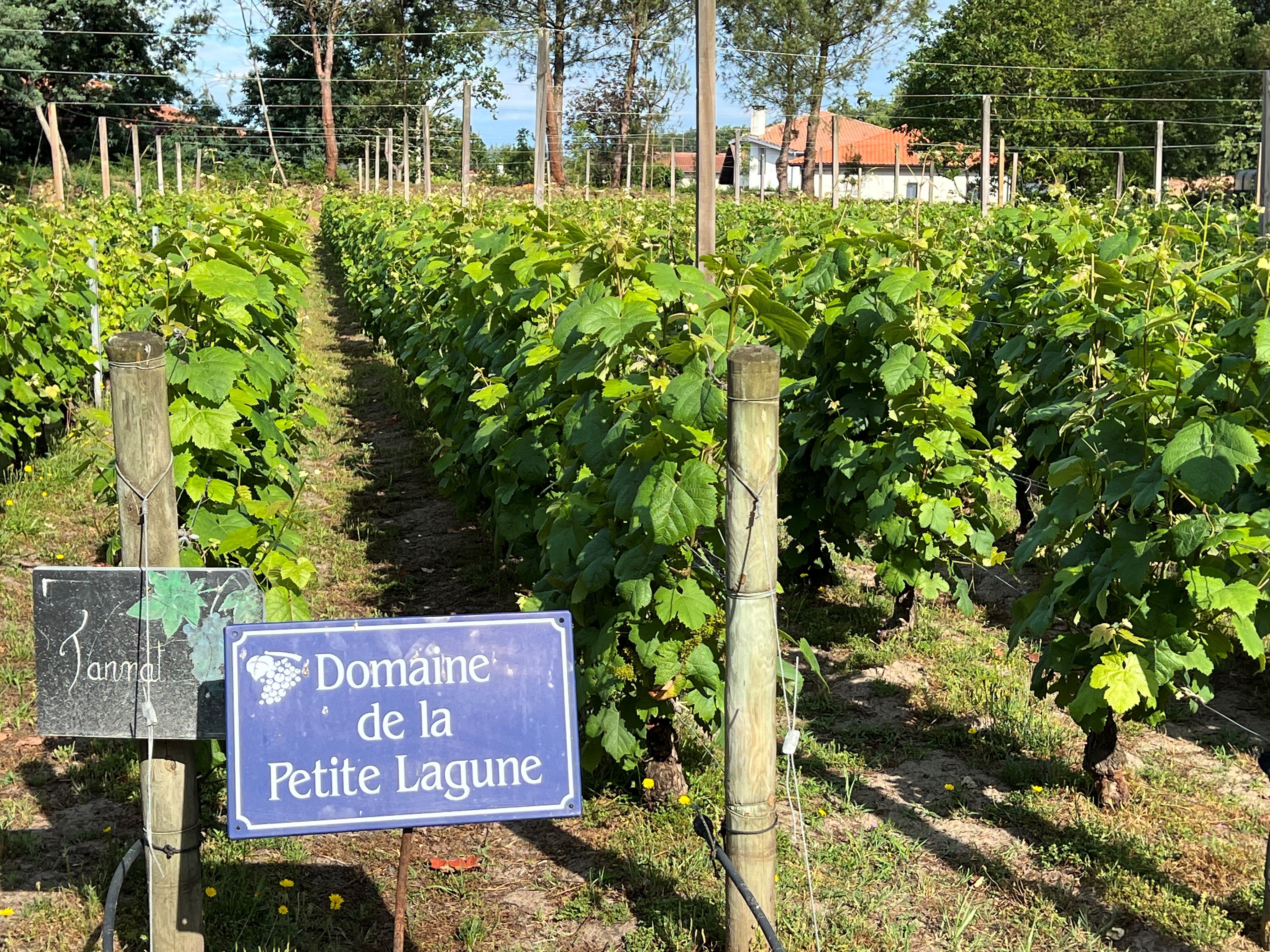 Relais De La Poste by null