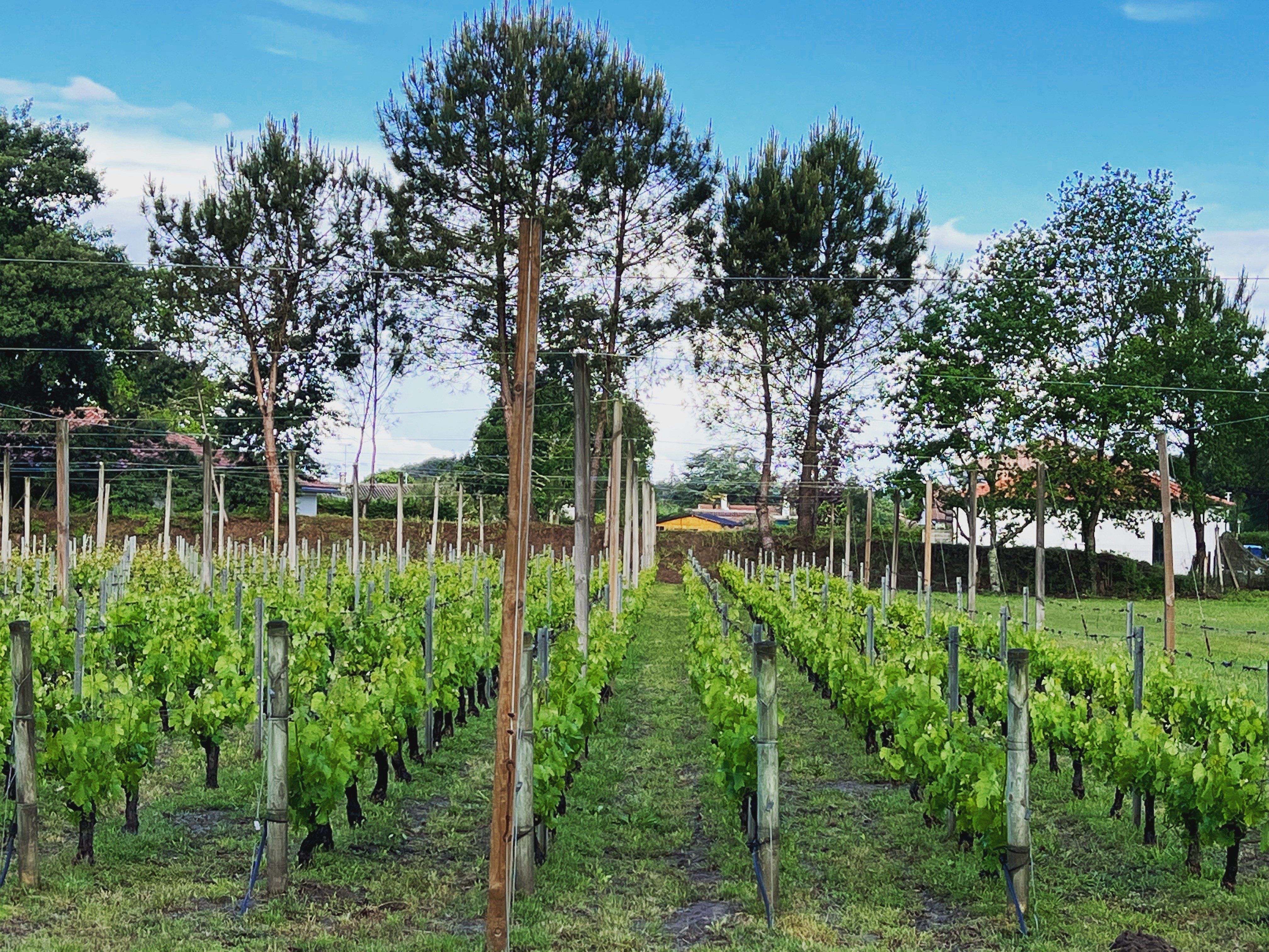 Relais De La Poste by null