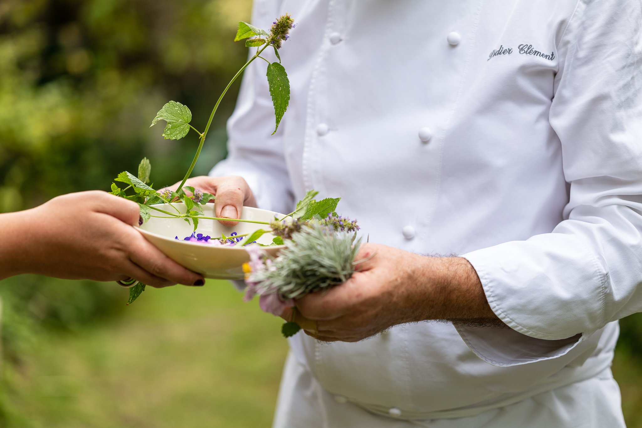 Grand Hôtel du Lion D'Or by null