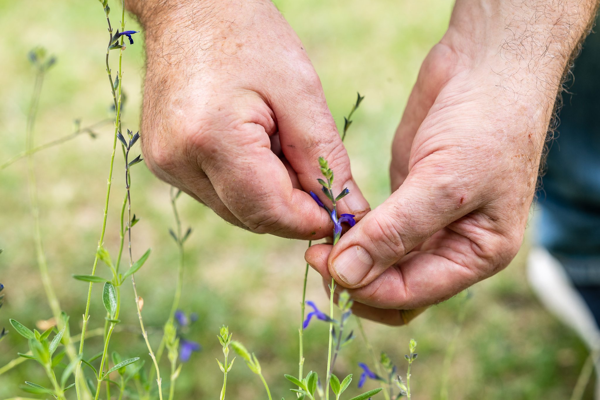 Grand Hôtel du Lion D'Or by null
