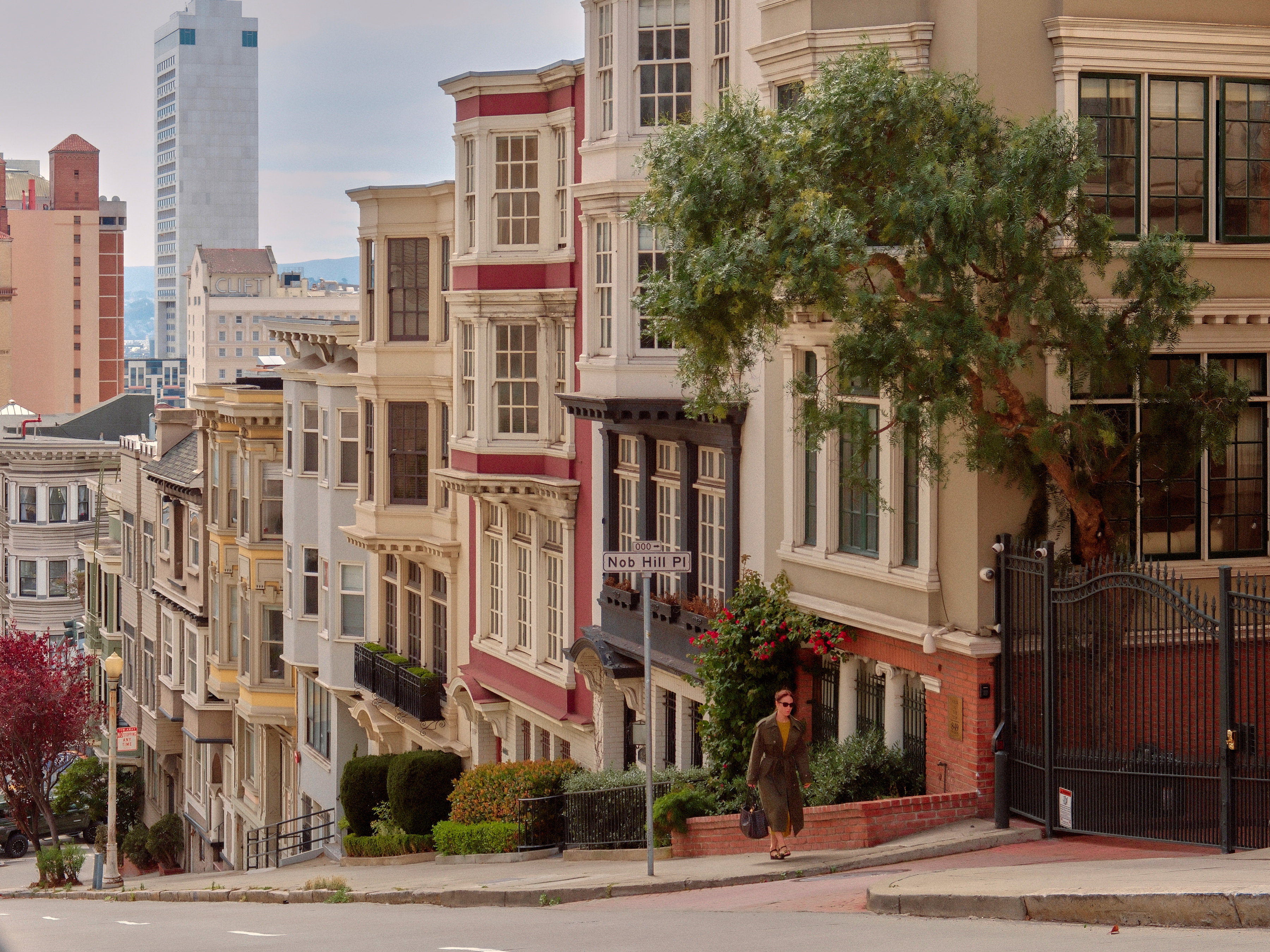 The Scarlet Huntington by null The Scarlet Huntington by null