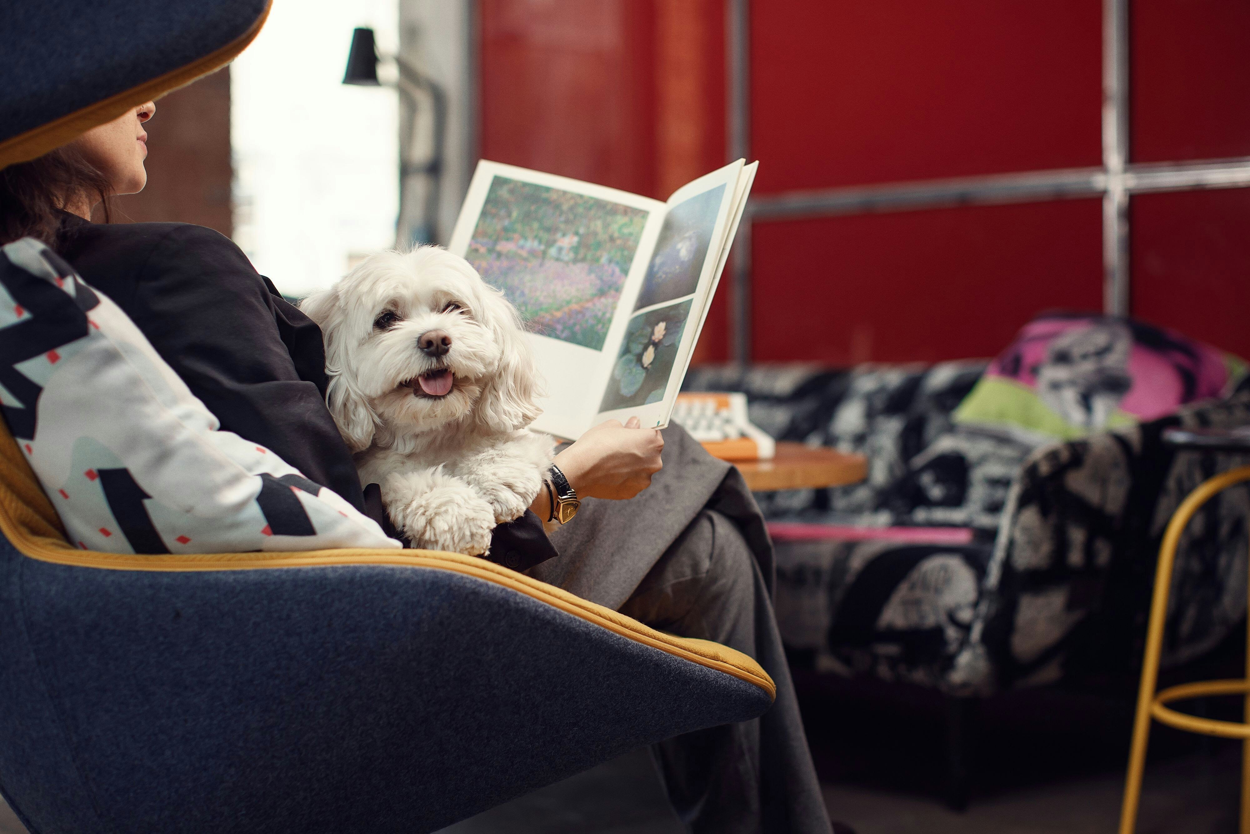 Moxy Tbilisi by null