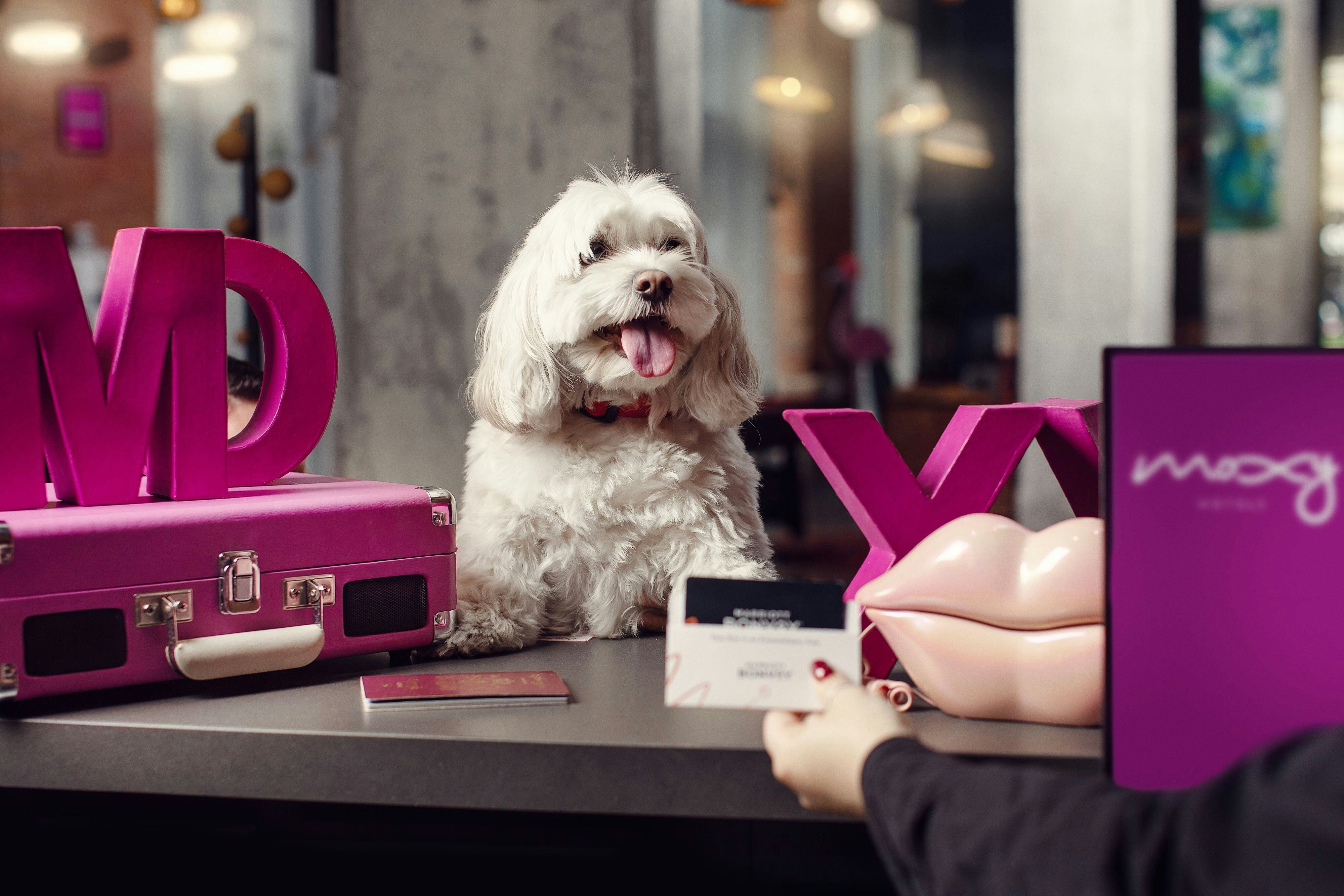 Moxy Tbilisi by null