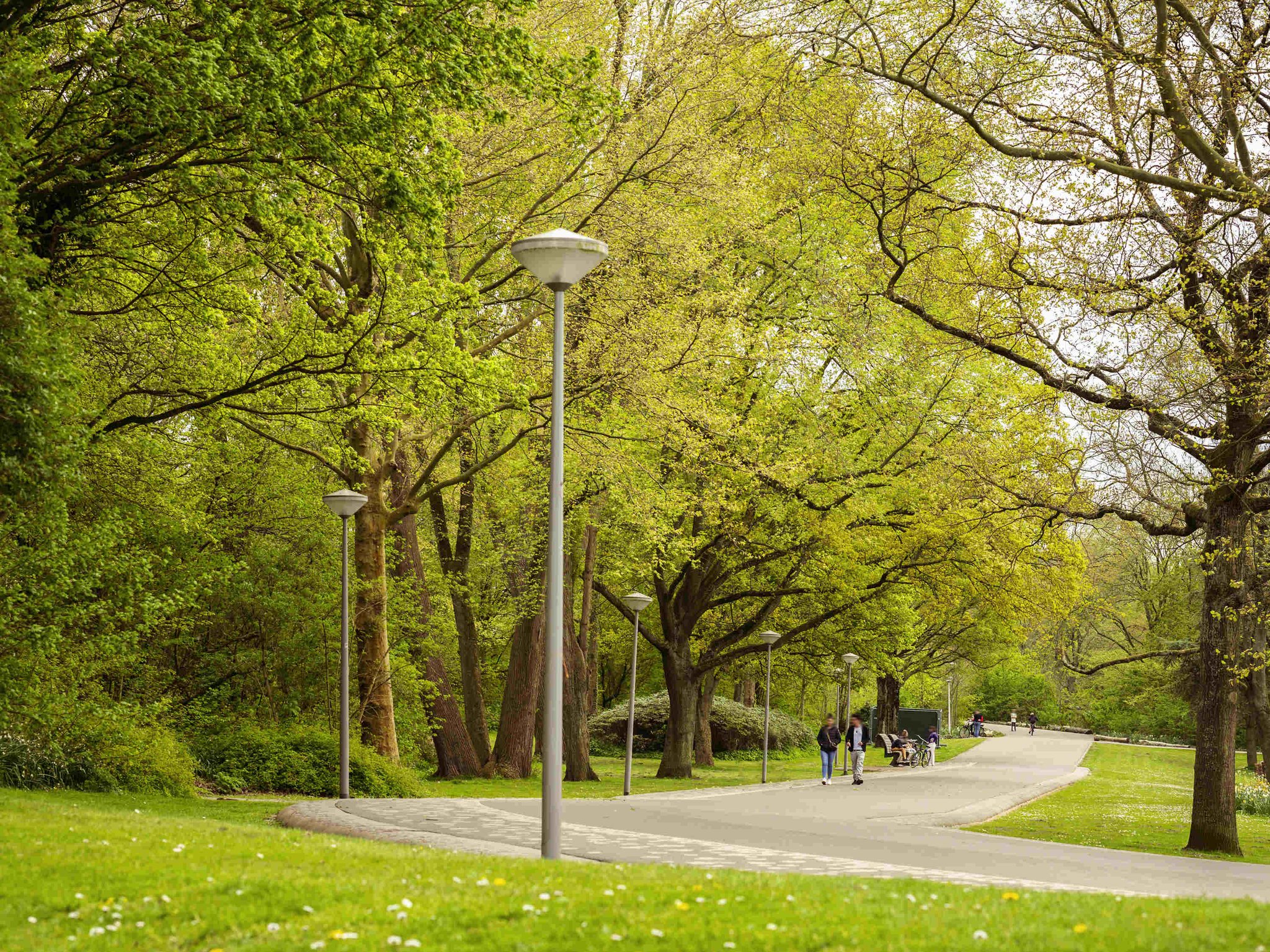 Tribe Amsterdam City by null