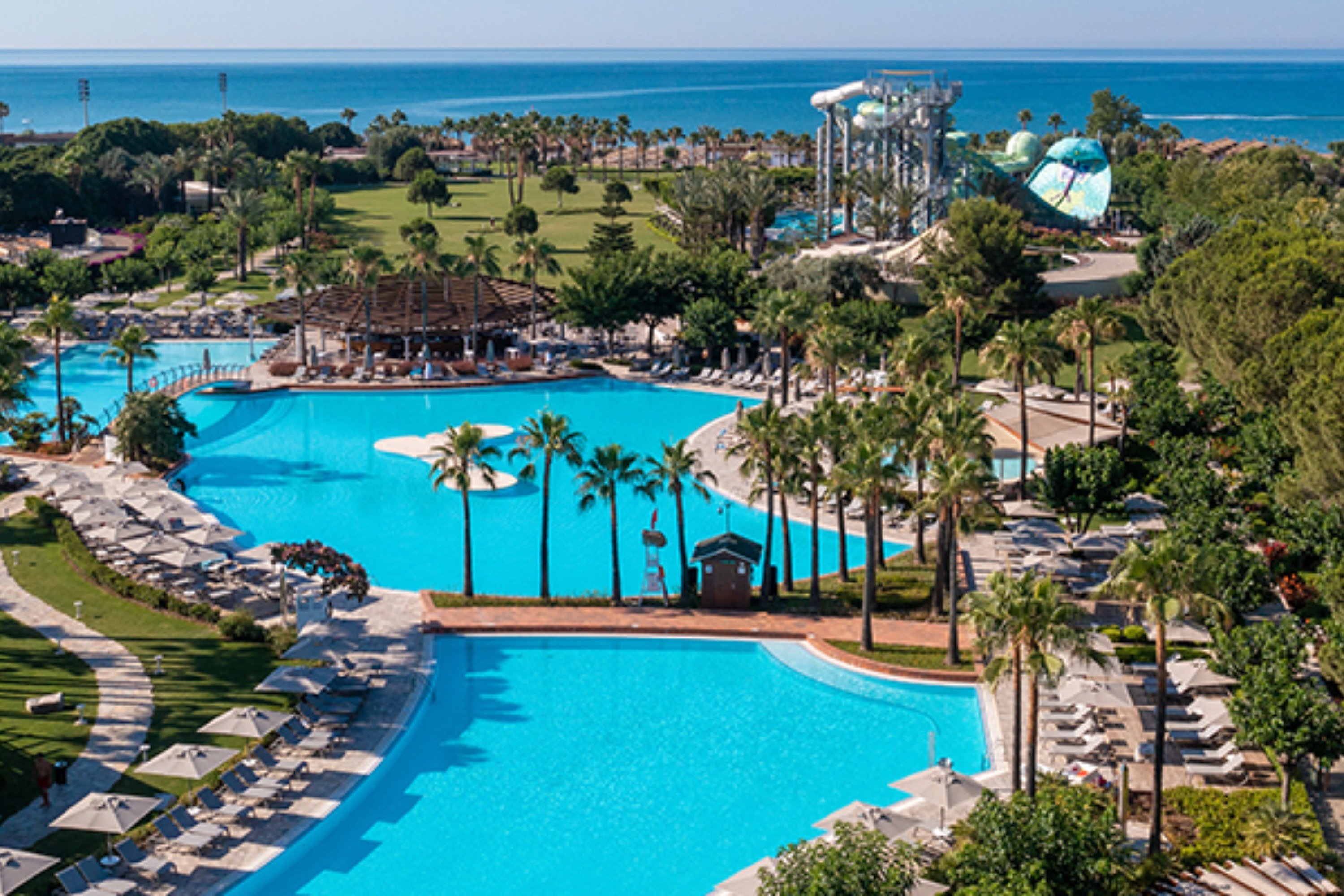 Barut Lara photo 2