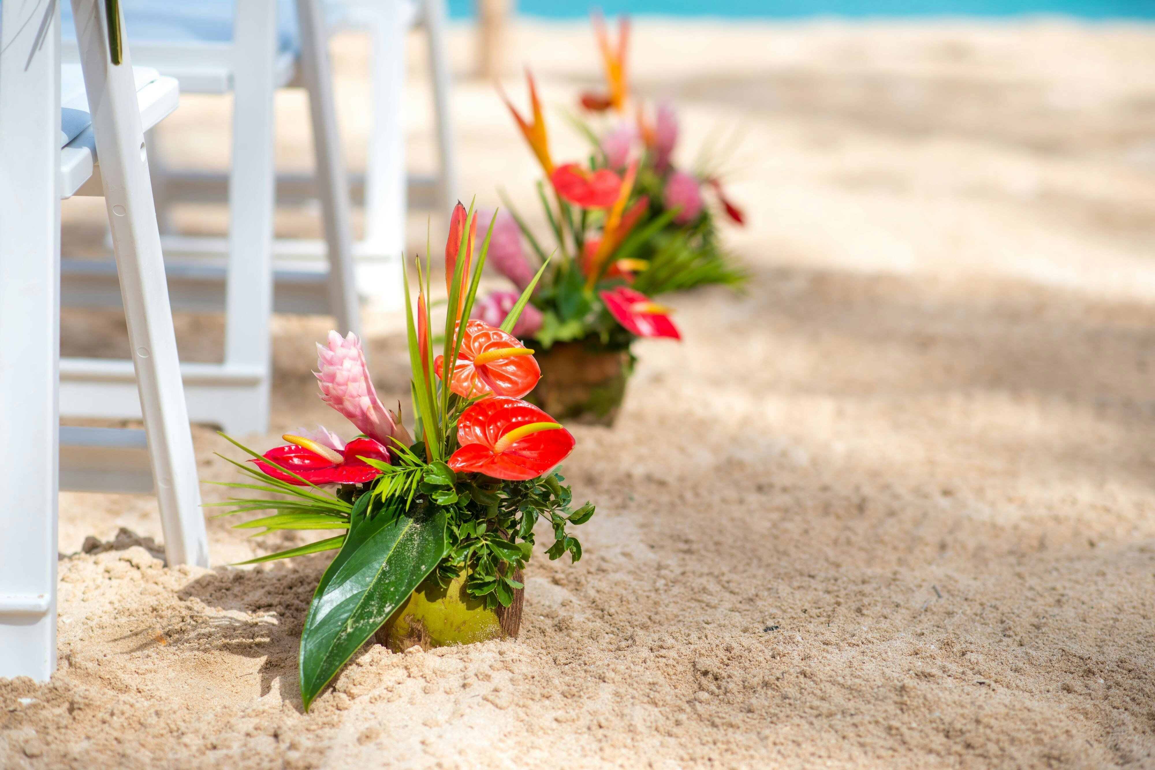 Turtle Beach by Elegant Hotels - All-Inclusive by null